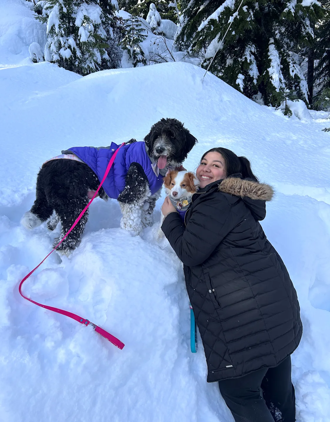 Veterinary Assistant Fernanda Veterinary Assistant Fernanda