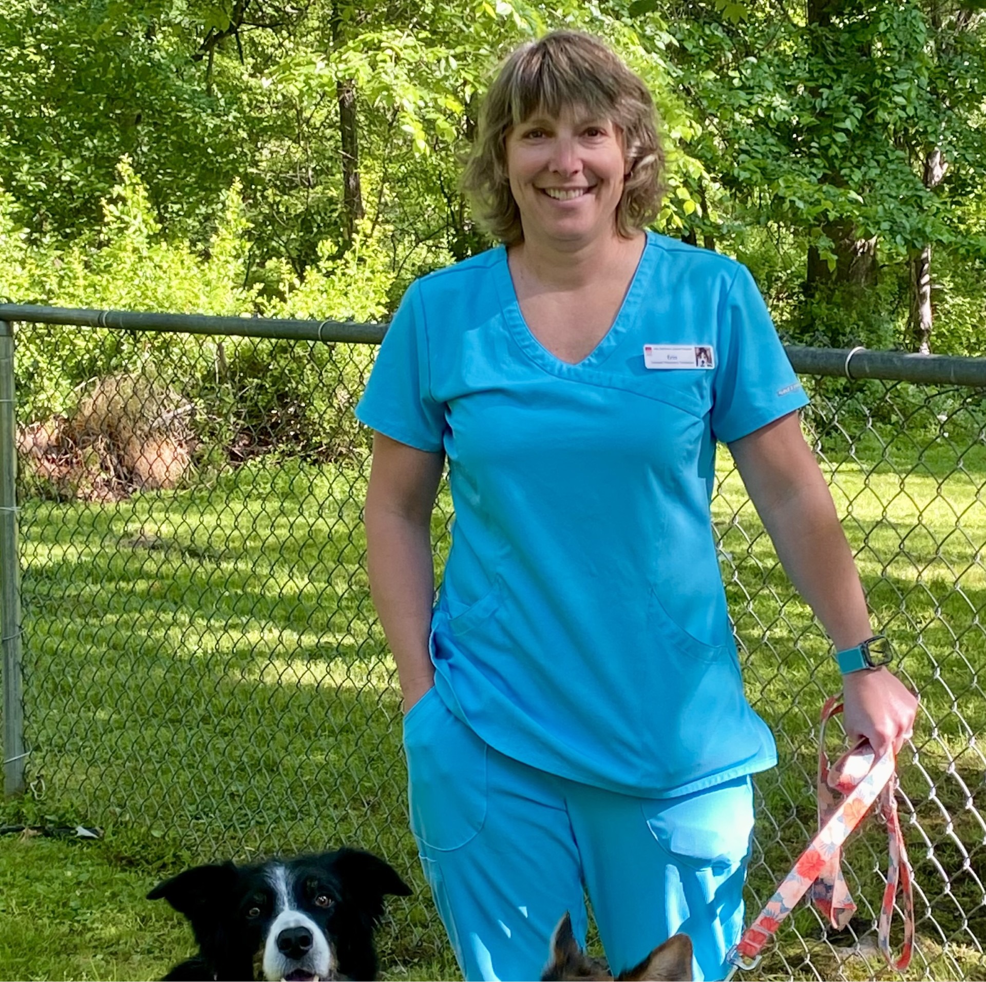 New Baltimore Animal Hospital Erin