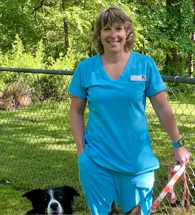 New Baltimore Animal Hospital Erin New Baltimore Animal Hospital Erin