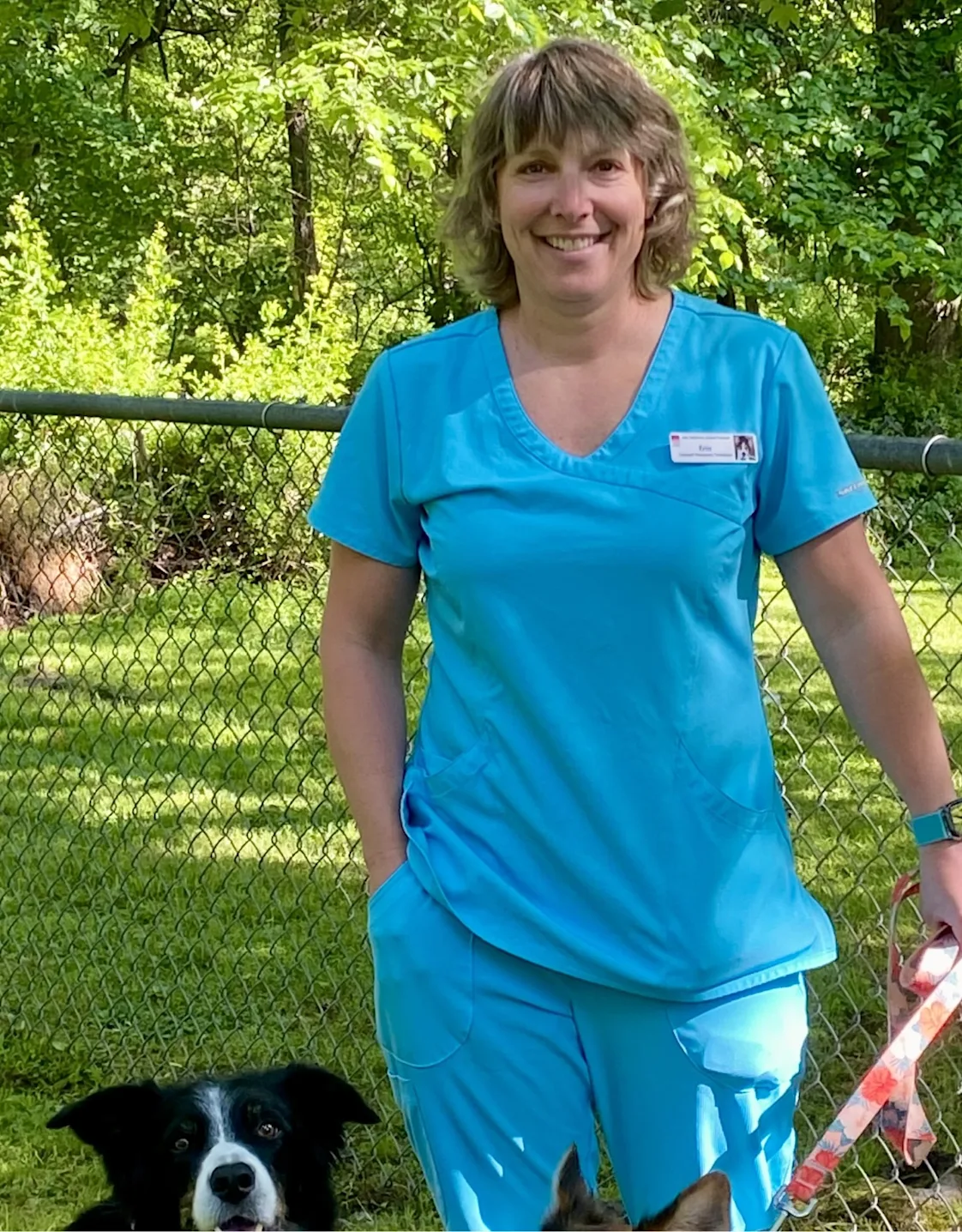 New Baltimore Animal Hospital Erin New Baltimore Animal Hospital Erin