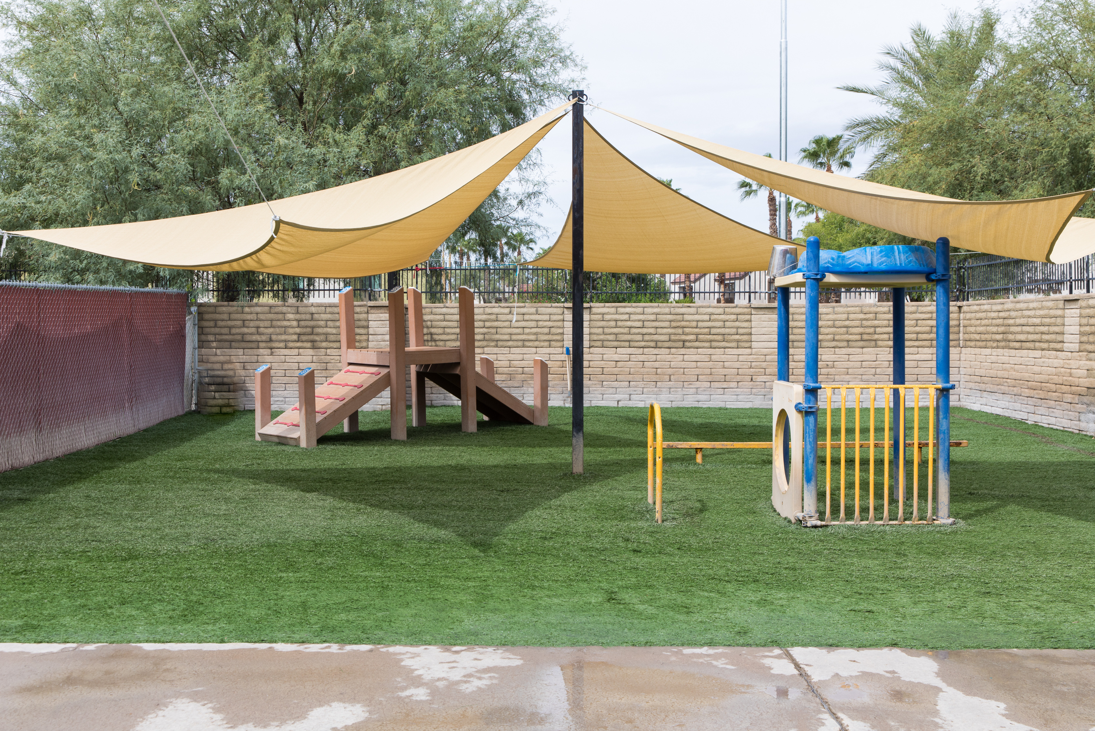Doggie District - Paradise Valley - Outdoor play area