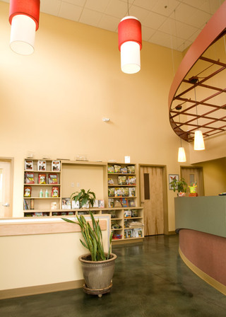 The Center for Bird and Exotic Medicine Check in