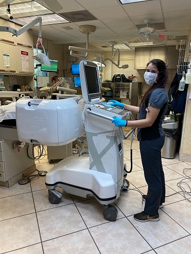Veterinarian on monitor