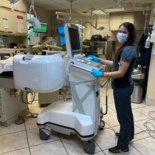 Veterinarian on monitor