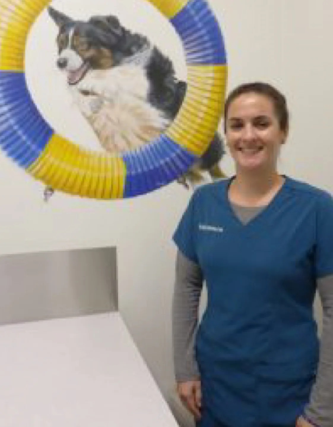 Rhi at Channel Islands Veterinary Hospital 1247 / Las Posas Veterinary Medical Center Rhi at Channel Islands Veterinary Hospital 1247 / Las Posas Veterinary Medical Center