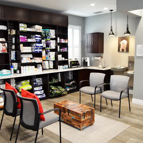 Wellness Center - Lobby at Westchase Veterinary Center and Emergency Wellness Center - Lobby at Westchase Veterinary Center and Emergency