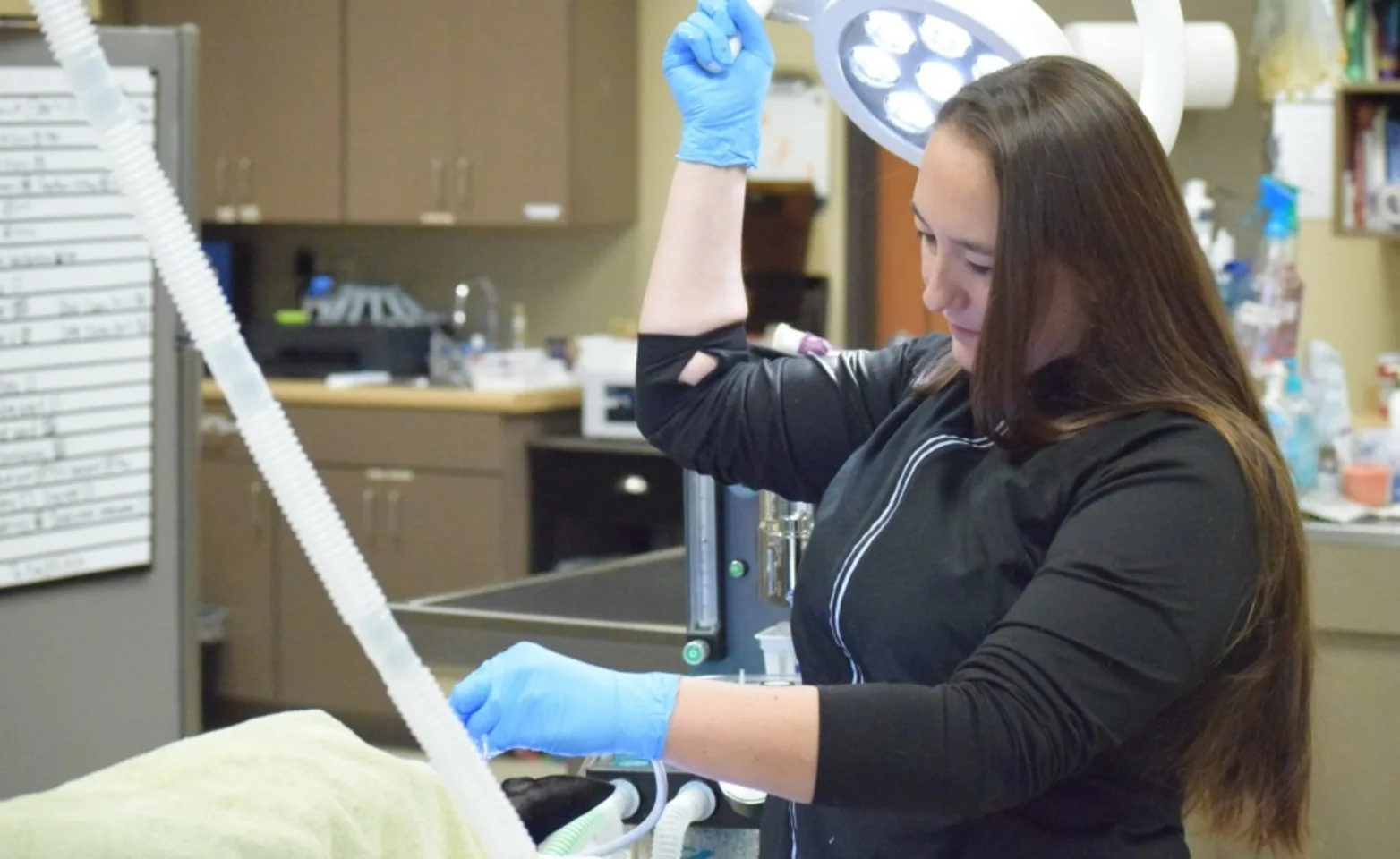 Support staff at Brookswood Animal Clinic providing care to a pet