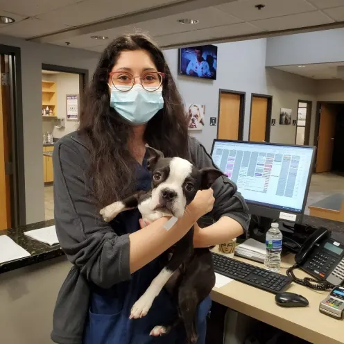 Glen Ellyn staff member wearing a mask at the front desk, while holding a dog