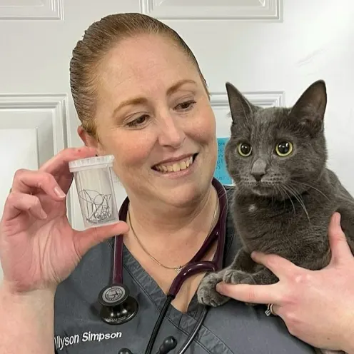 Williamstown Veterinary Services staff member Allyson holding a dark grey cat