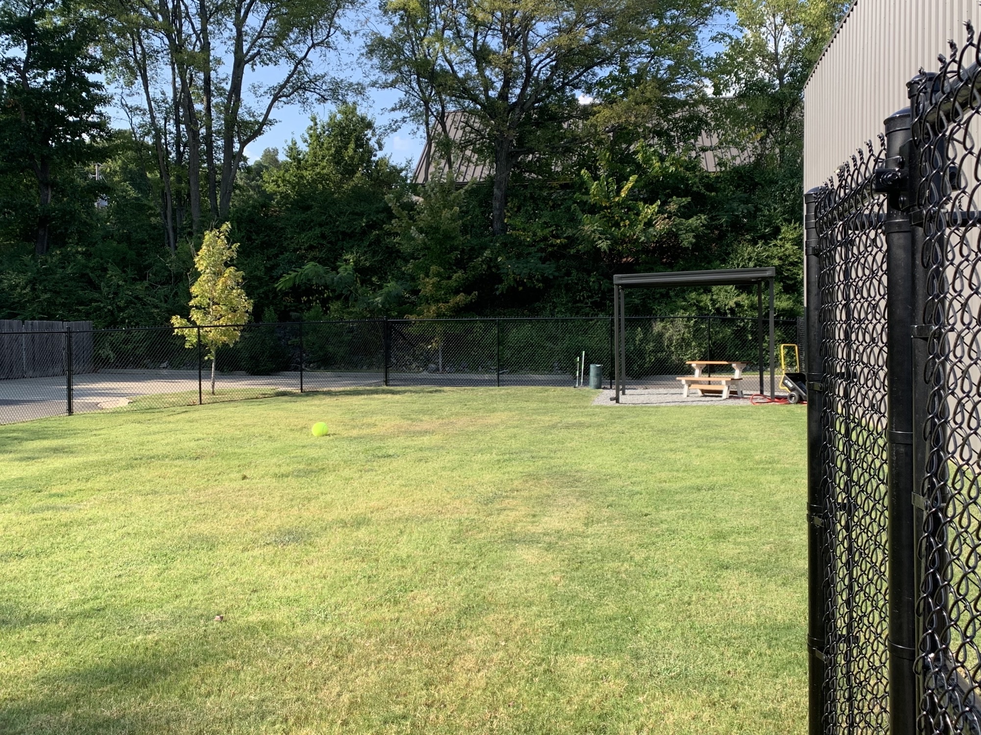  Countryside Animal Hospital of Hot Springs 0162 - Exterior Yard 1