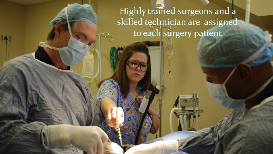 Highly trained surgeons at Kettering Animal Hospital 