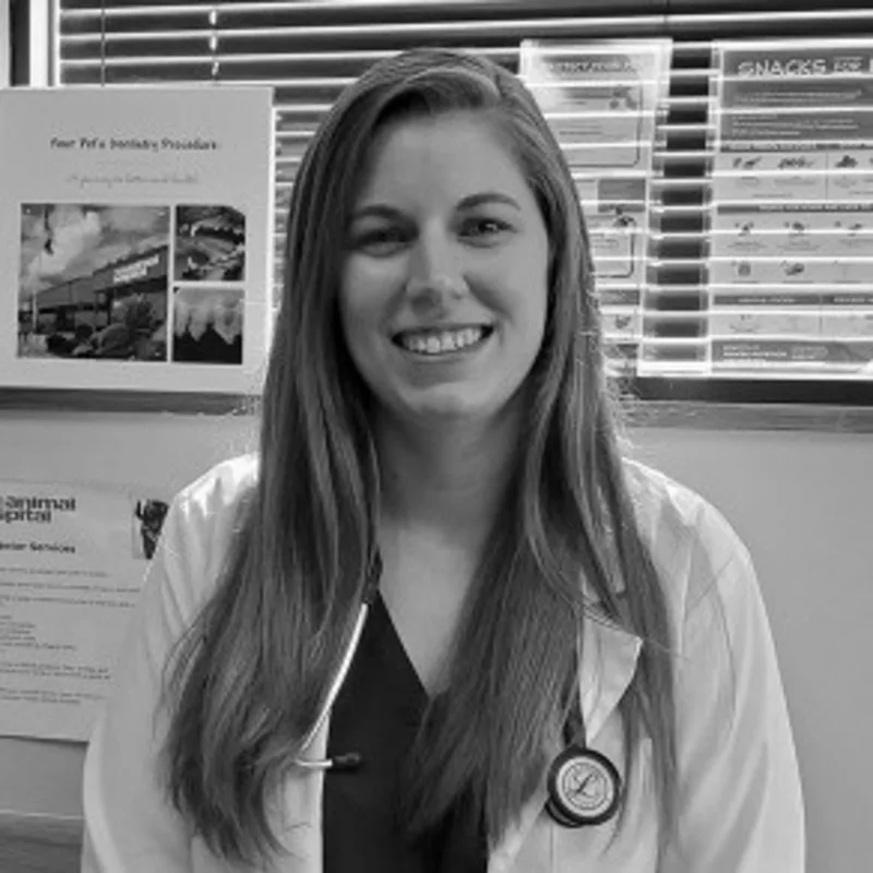 Korin P. Sichak Korin P. Sichak