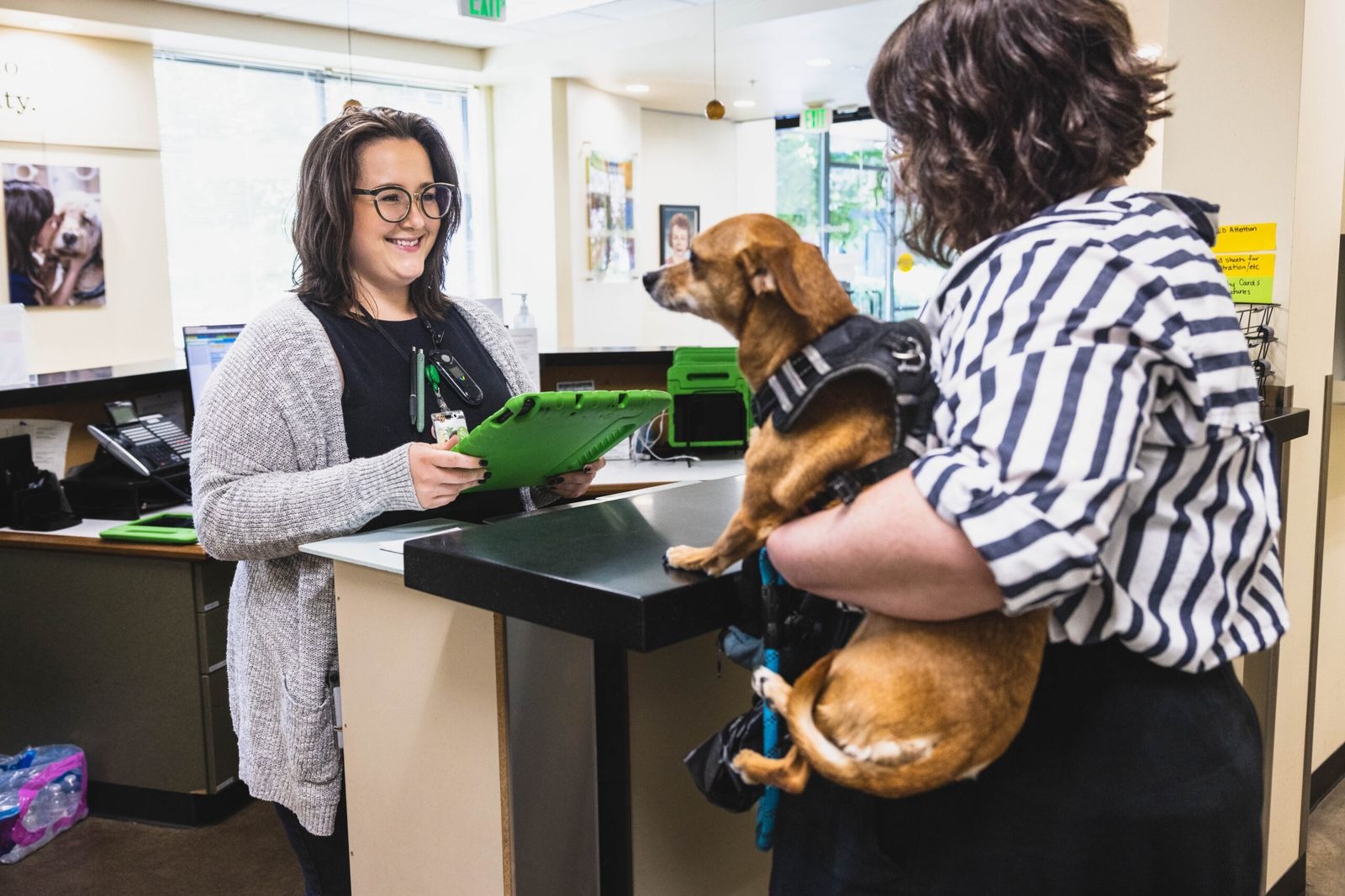 Smiling woman talking to a client who is holding her dog in her arms.