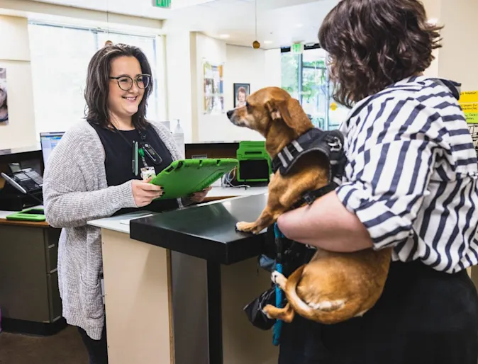 Smiling woman talking to a client who is holding her dog in her arms. Smiling woman talking to a client who is holding her dog in her arms.
