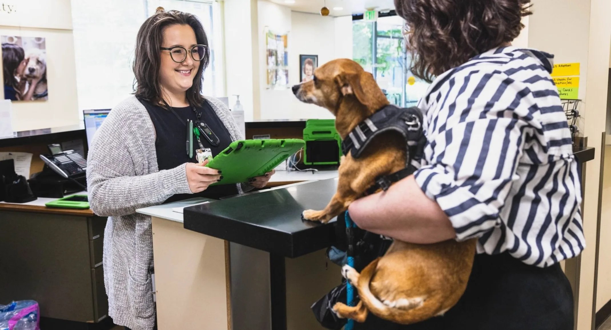 Smiling woman talking to a client who is holding her dog in her arms. Smiling woman talking to a client who is holding her dog in her arms.
