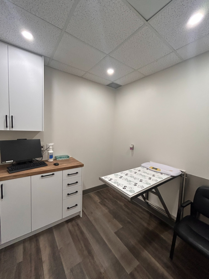 Abbotsford Animal Hospital Exam Table