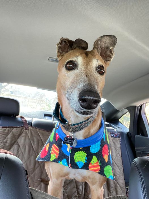 Daisy Favinger 10/4/2010 - 11/26/2024