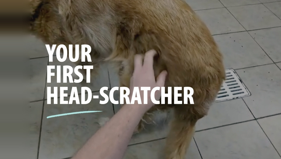 Your First Head-Scratcher