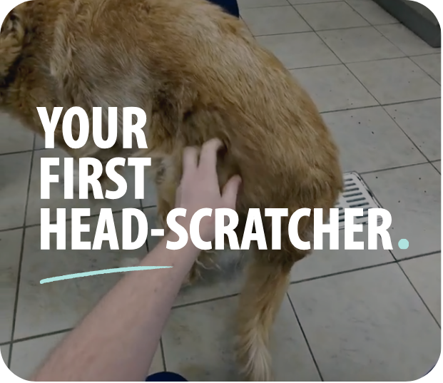 Your First Head-Scratcher