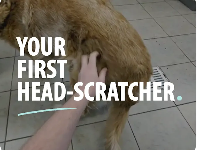 Your First Head-Scratcher Your First Head-Scratcher