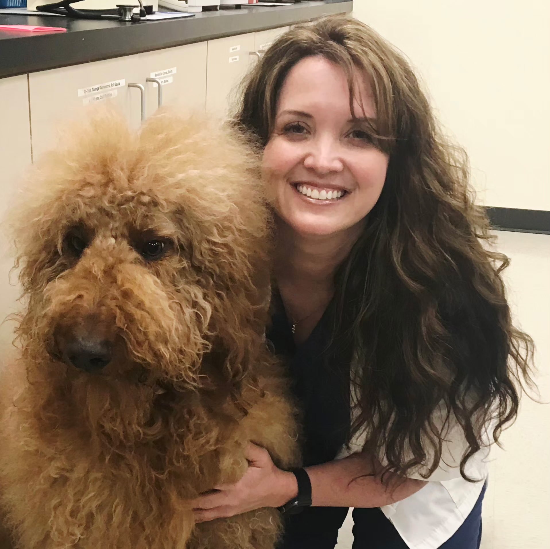 Stephanie Bordeau, Managing Veterinarian at North Channel Animal Hospital