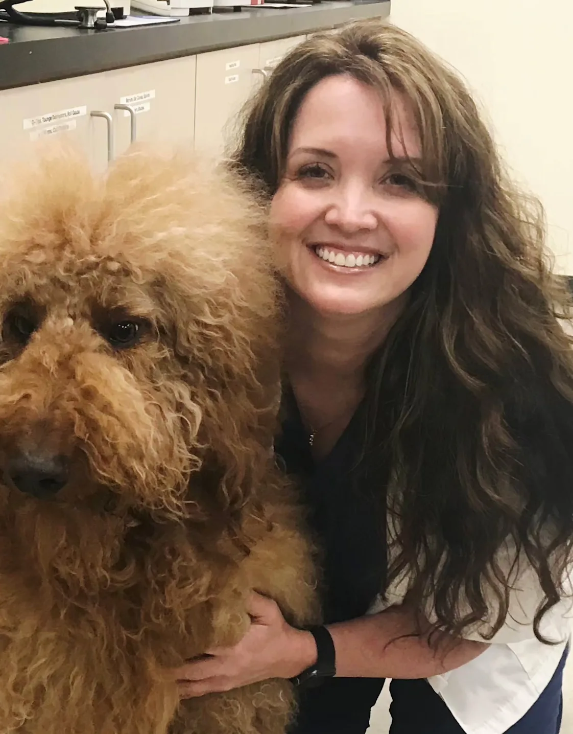 Stephanie Bordeau, Managing Veterinarian at North Channel Animal Hospital Stephanie Bordeau, Managing Veterinarian at North Channel Animal Hospital