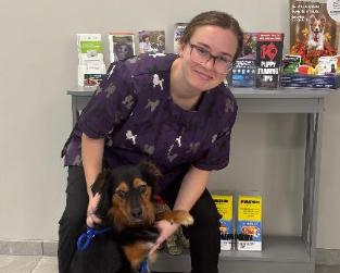 Staff holding a brown and black dog.