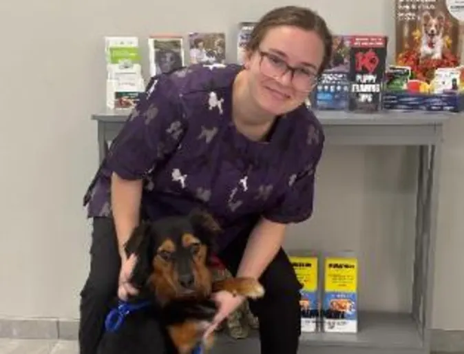 Staff holding a brown and black dog. Staff holding a brown and black dog.