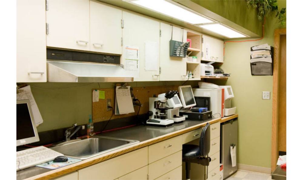  Kitsap Veterinary Hospital Laboratory area