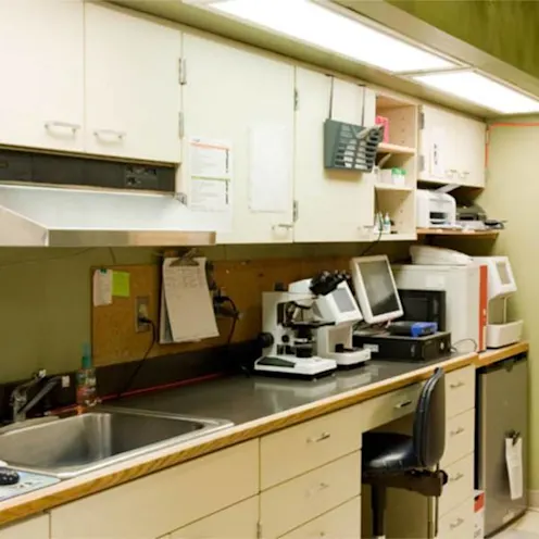 Kitsap Veterinary Hospital Laboratory area Kitsap Veterinary Hospital Laboratory area