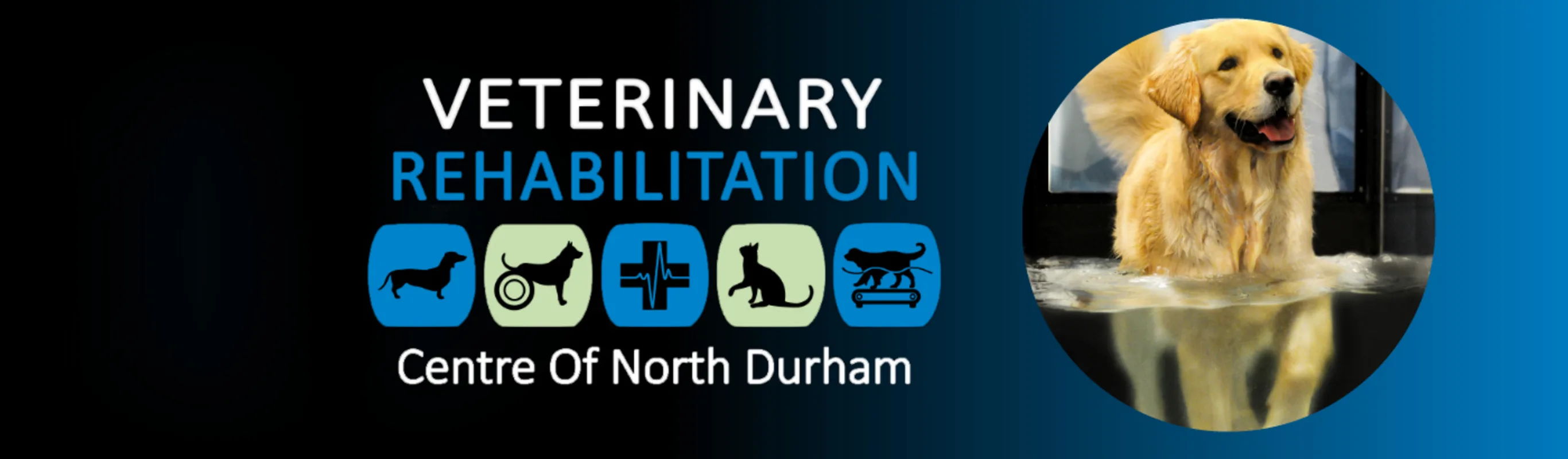 Veterinary Rehabilitation Centre of North Dunham logo with Golden Retriever on the right Veterinary Rehabilitation Centre of North Dunham logo with Golden Retriever on the right