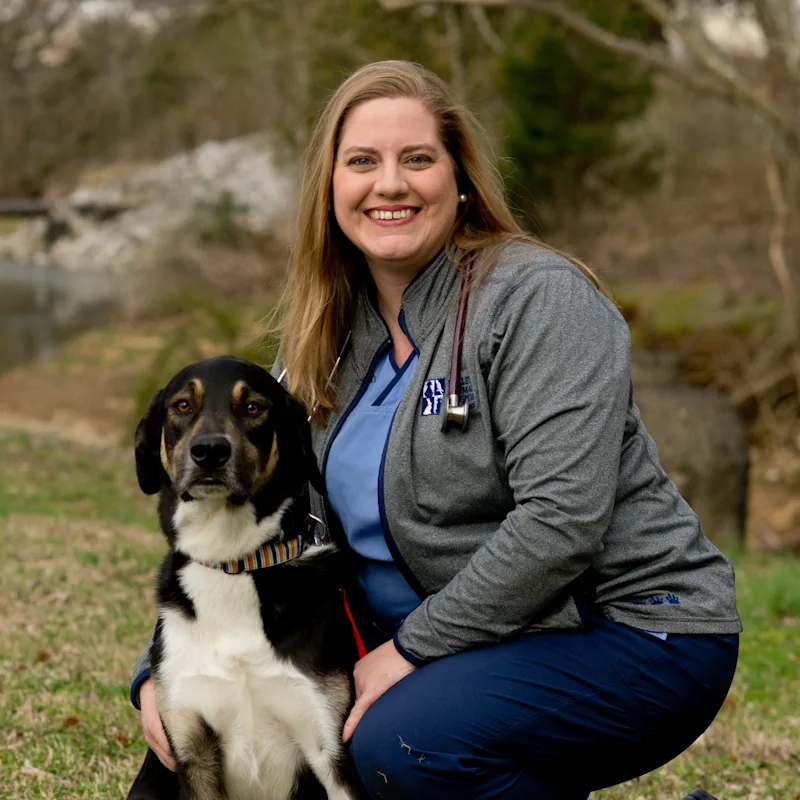 Valley Animal Hospital & Pet Resort - Dr. Ashley Calvin - DVM  Valley Animal Hospital & Pet Resort - Dr. Ashley Calvin - DVM