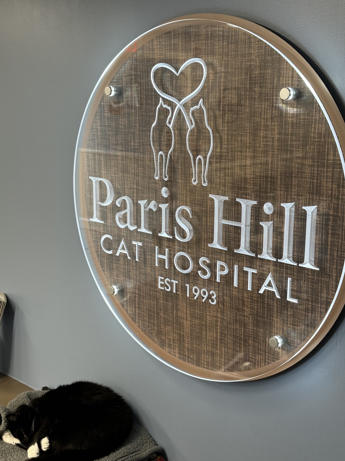 Paris hill sales animal hospital