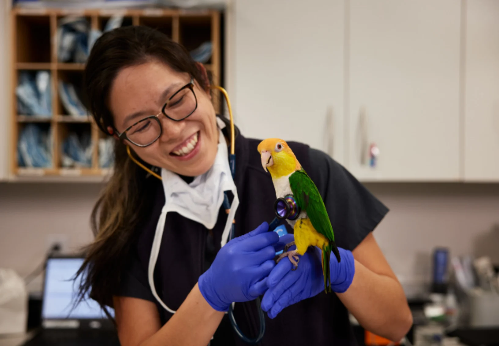 Avian & Exotics Avian & Exotics