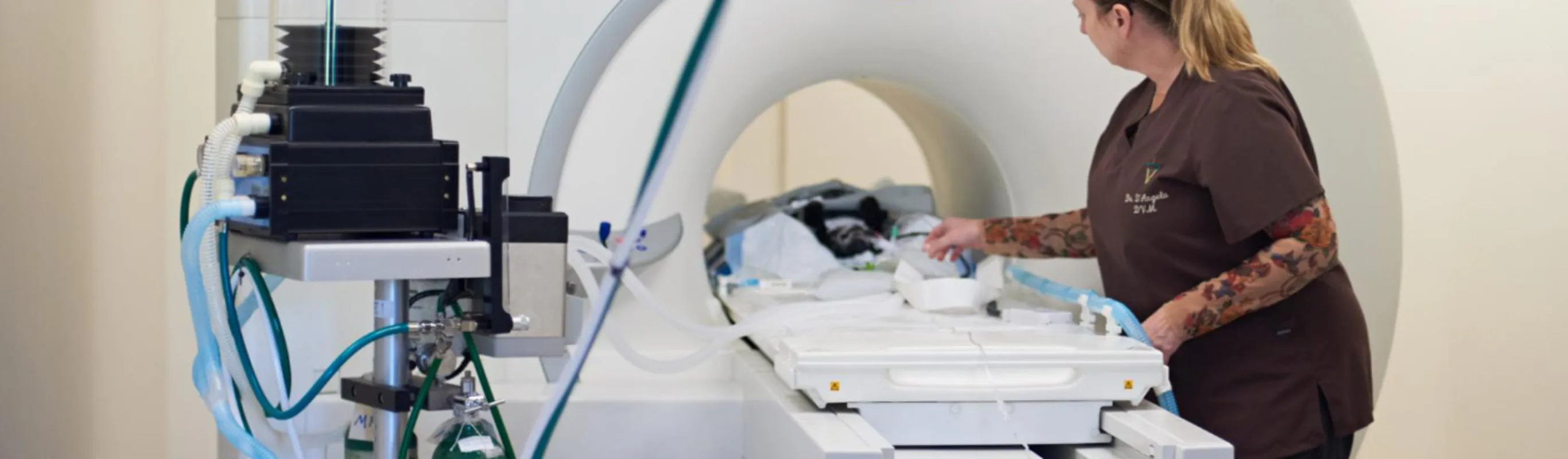 Veterinarian prepping CT machine Veterinarian prepping CT machine