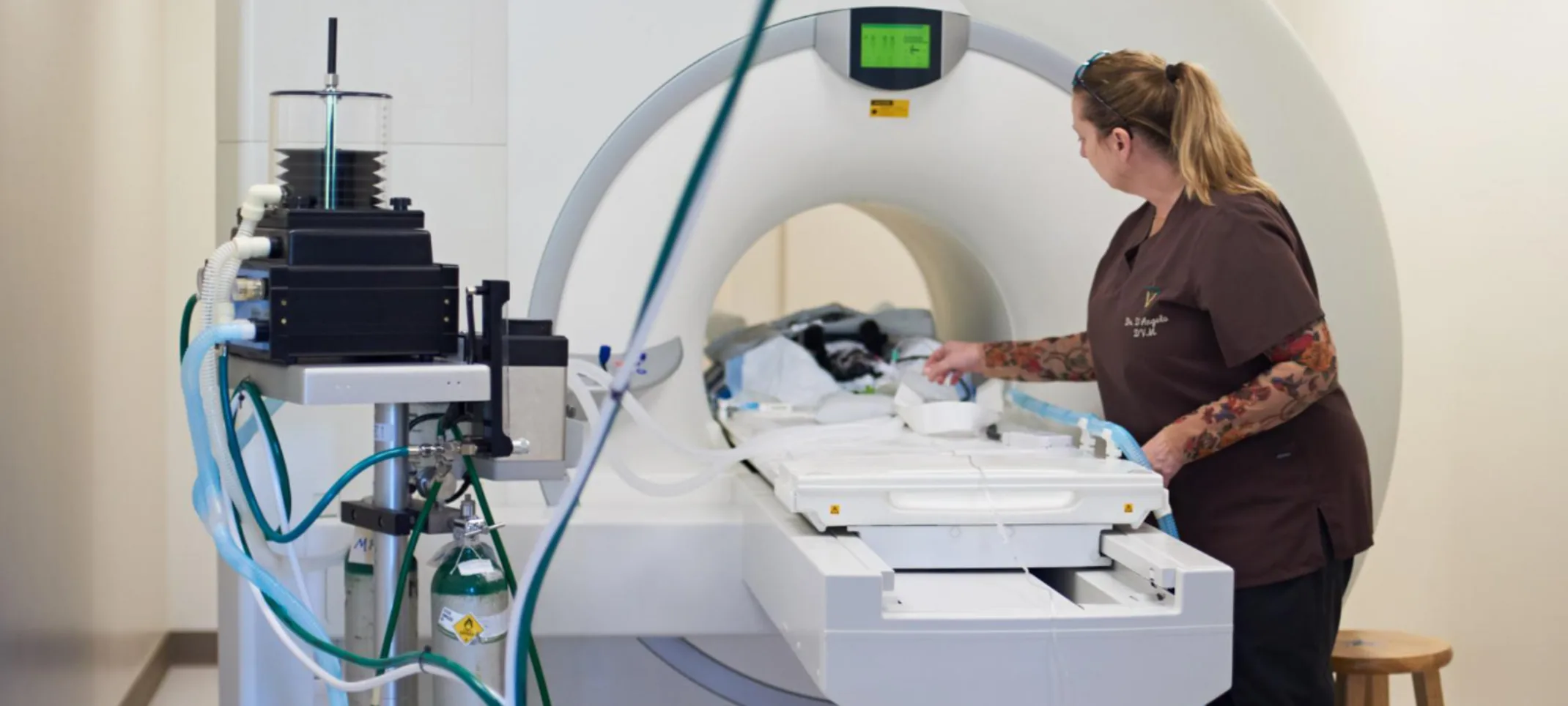 Veterinarian prepping CT machine Veterinarian prepping CT machine
