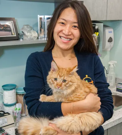 Terry Li with cat at Battery Park Veterinary Hospital