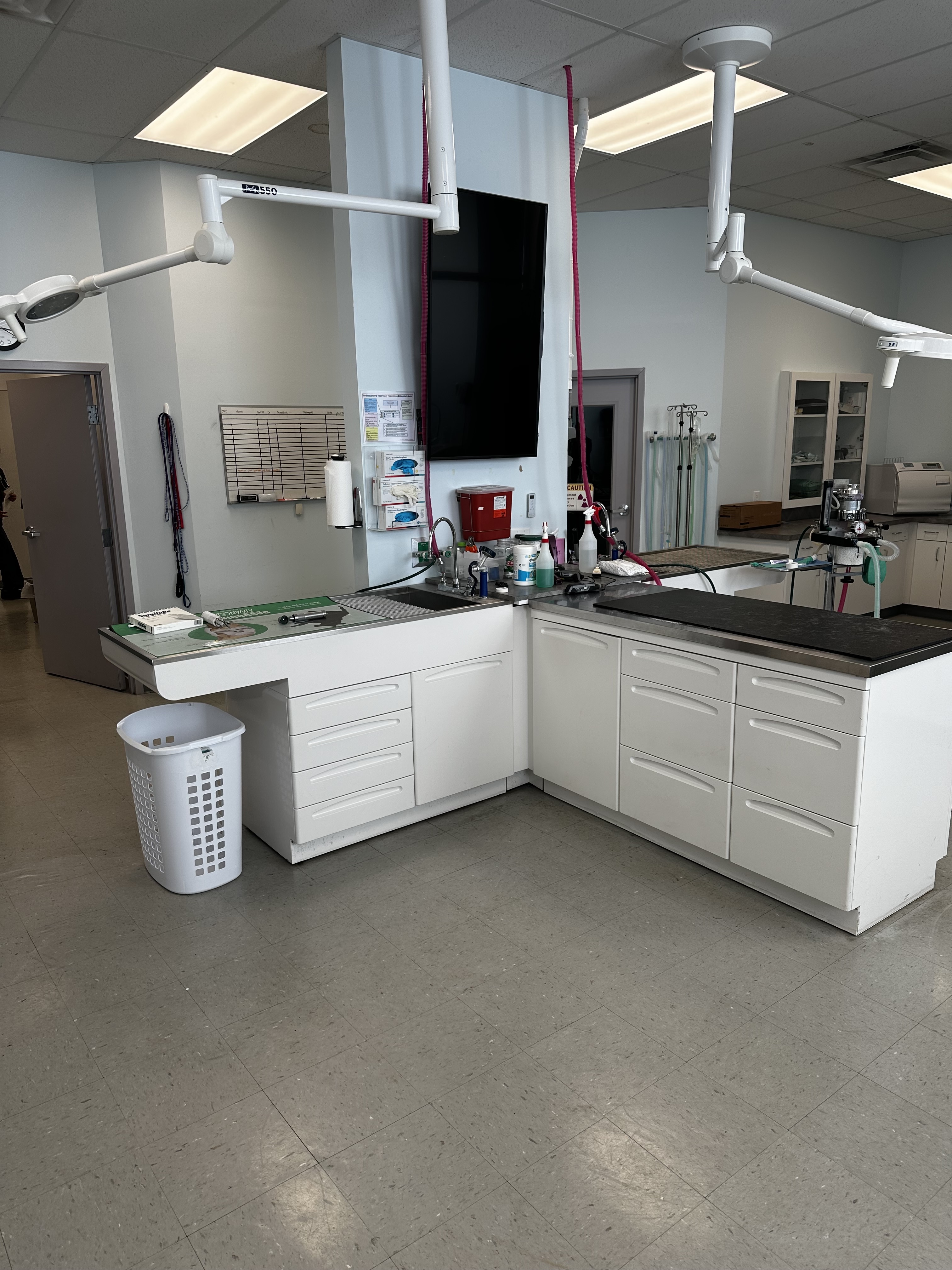 Keystone Veterinary Care treatment area 