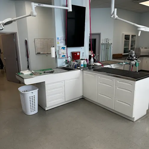Keystone Veterinary Care treatment area Keystone Veterinary Care treatment area