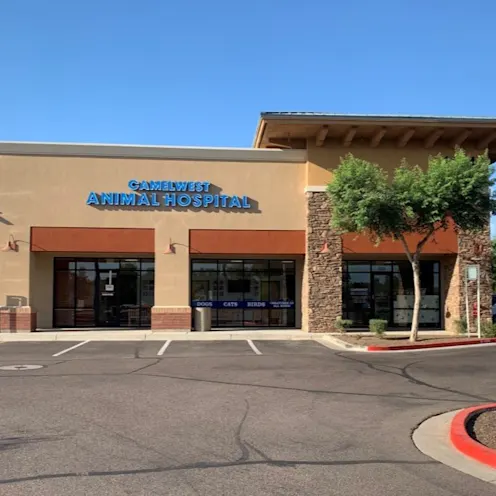 Hospital exterior Hospital exterior