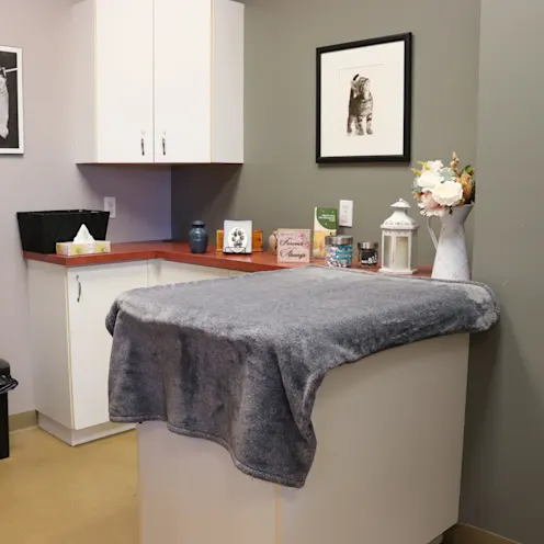 Comfort Room Comfort Room