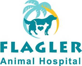 Homepage | Flagler Animal Hospital