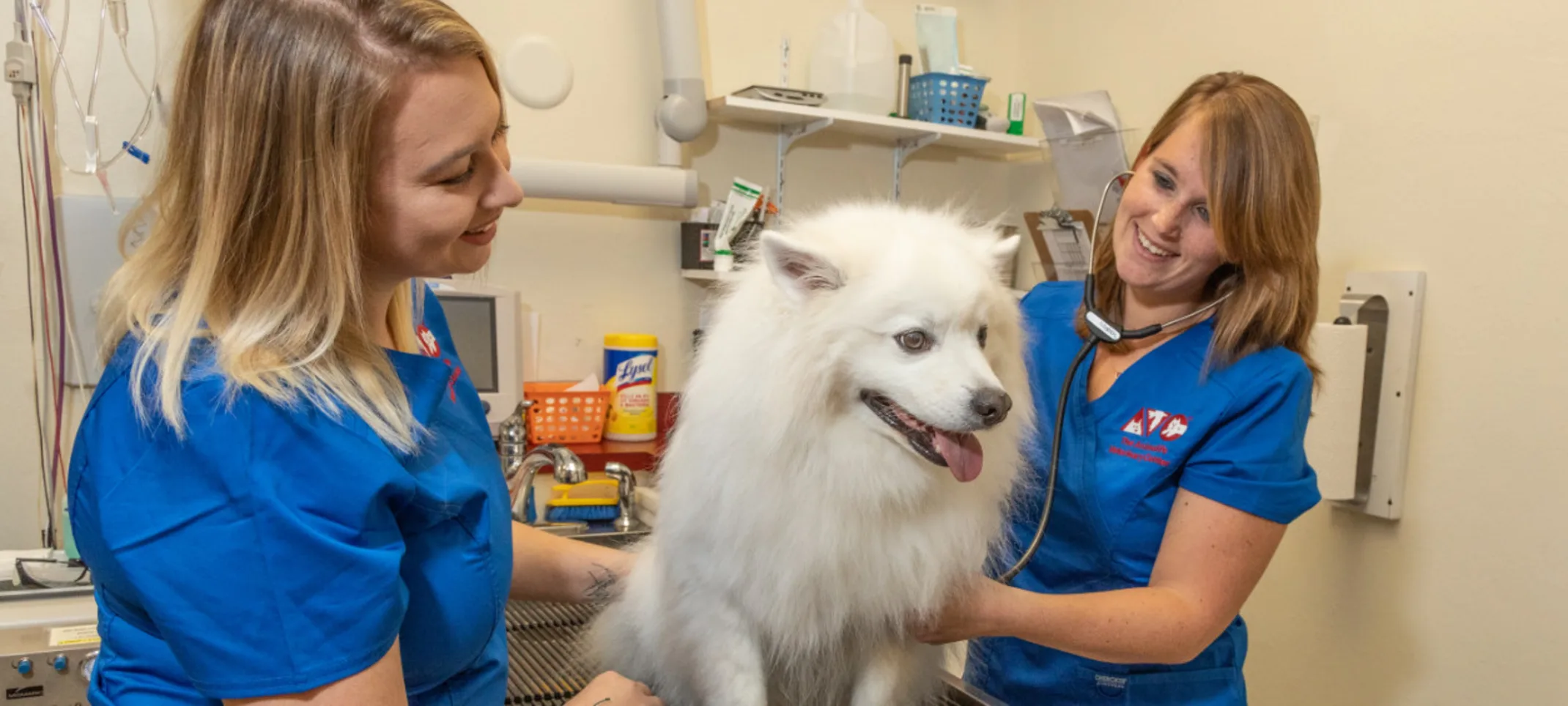 Two staff members diagnosing a white dog at The Animalife Veterinary Center at Eagle Creek