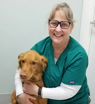 Appalachain - New River Veterinary Associates Deena Kent Appalachain - New River Veterinary Associates Deena Kent