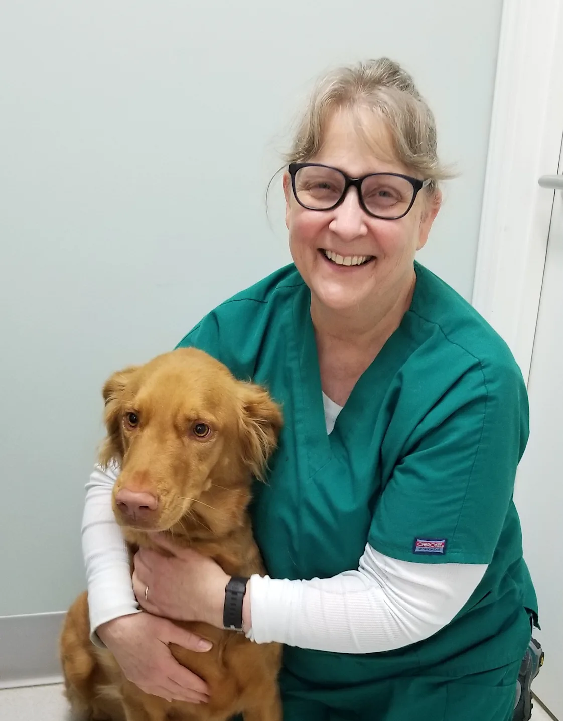 Appalachain - New River Veterinary Associates Deena Kent Appalachain - New River Veterinary Associates Deena Kent