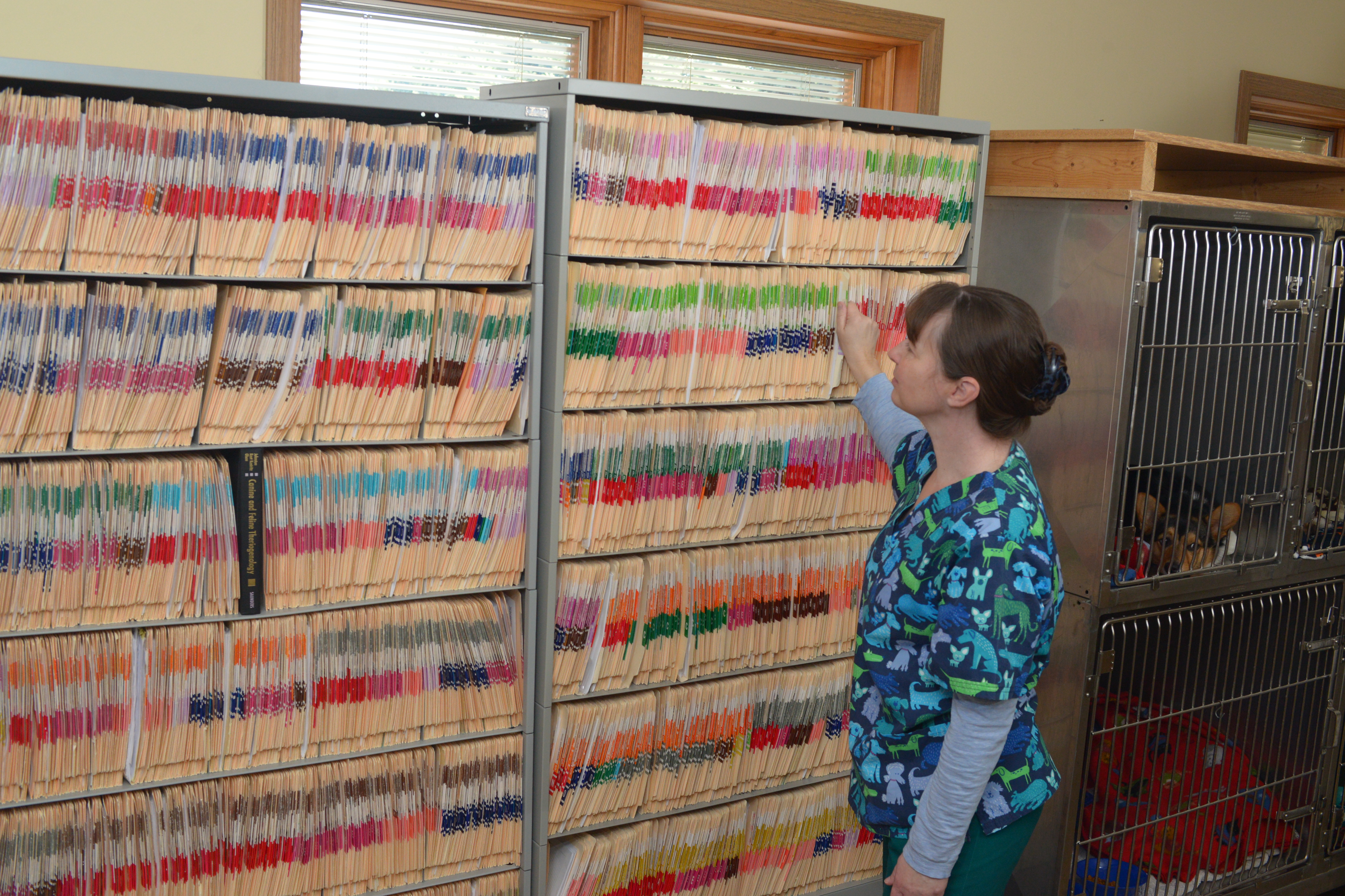 Veterinary staff in front of cabinets full of medical charts
