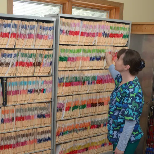 Veterinary staff in front of cabinets full of medical charts