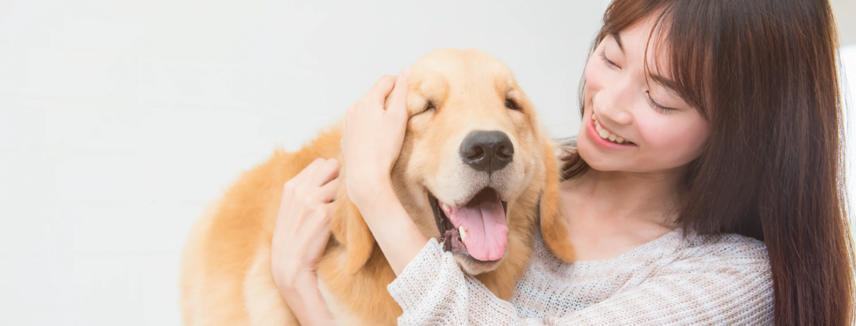 Woman hugging dog against grey background