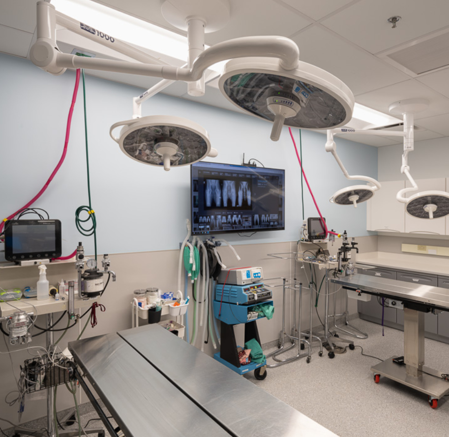 Surgery Suite