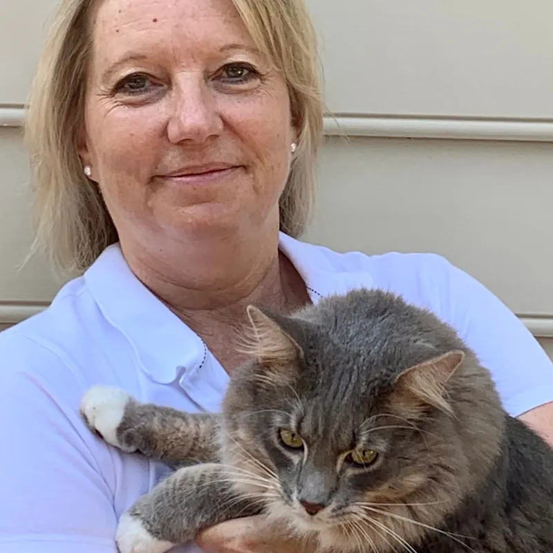 Dr. Vicki Soares Dr. Vicki Soares